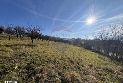 Teren de 10000 mp, în Moldovenești - 3