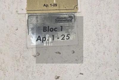 Apartament cu 3 camere decomandat în Nord