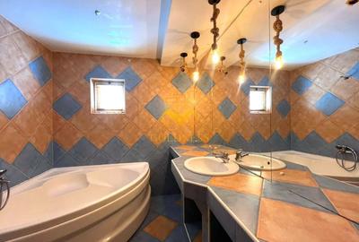 Apartament cu 3 camere semidecomandat, mobilat în Plopilor - 6