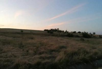 Teren de 2800 mp, în Central - 1