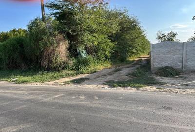Teren în Cazasu - 1