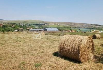 Casă cu 3 camere cu Teren 85 Mp în Comșești