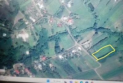Teren de 3700 mp, în Brăești