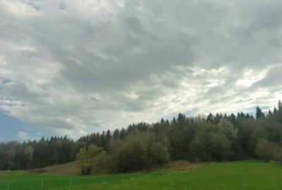 Teren de 500 mp, în Bodești - 4