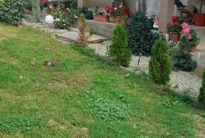 Casă cu 4 camere în Săliștea - 4