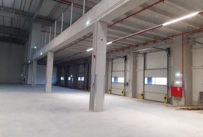 Spațiu industrial, de 3,000 mp, în Dragomirești-Vale - 1