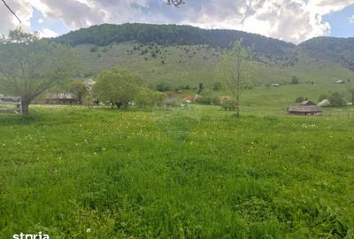 Teren de 4245 mp, în Mănești - 6