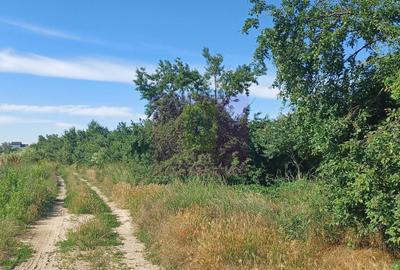 Teren de 3500 mp, în Săbăreni
