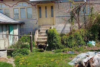 Casă cu 4 camere cu Teren 534 Mp în Chiojdu - 5