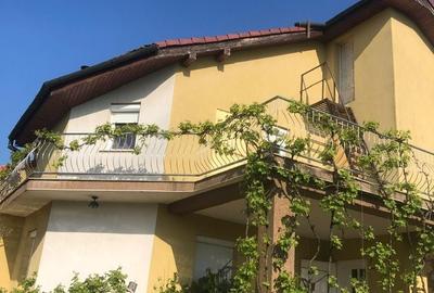 Casă cu 9 camere decomandat cu Teren 3000 Mp în Vladimirescu - 16
