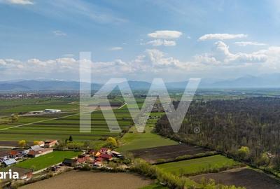 Teren de 1000 mp, în Prejmer - 5