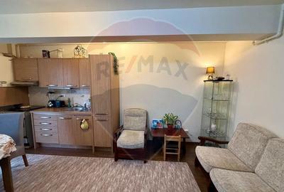 Apartament cu 2 camere semidecomandat în Mănăștur - 4