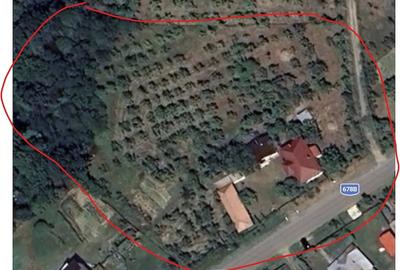 Casă cu 3 camere cu Teren 6400 Mp în Dealu Lăunele - 3