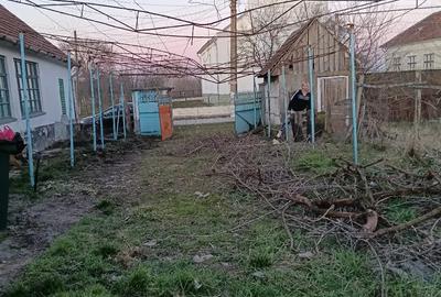 Casă cu 3 camere cu Teren 10000 Mp în Central - 6