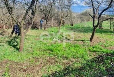 Casă individuală cu 2 camere cu Teren 1274 Mp în Buzoești - 10