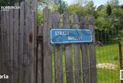 Teren de 1000 mp, în Stâlpeni - 5