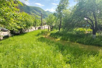 Casă individuală cu 5 camere cu Teren 2400 Mp în Furtunești - 11