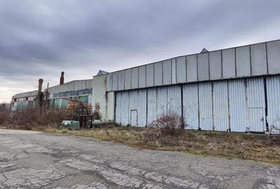 Spațiu industrial, de 4,900 mp, în Exterior Nord - 9