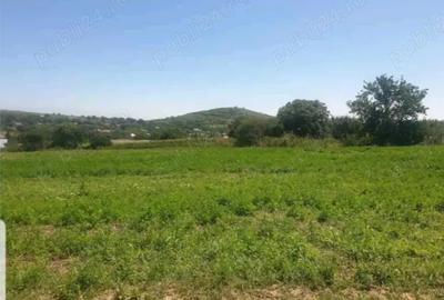 Teren de 7000 mp, în Telița - 4