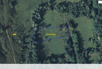 Teren de 4100 mp, în Secaș - 1