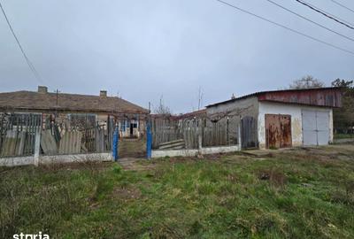 Casă cu 3 camere cu Teren 1763 Mp în Topraisar - 9