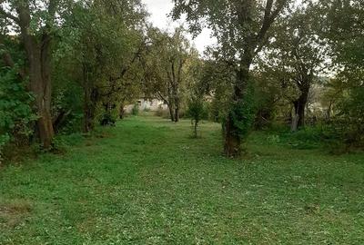 Casă cu Teren 3200 Mp în Central