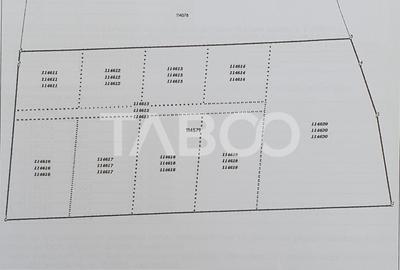 Teren agricol extravilan de 6868 mp, în Gura Văii