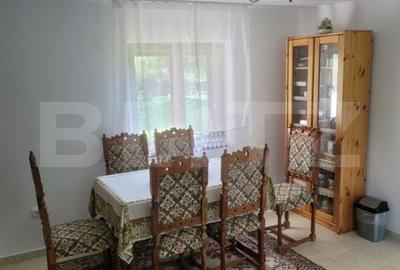 Casă cu 5 camere cu Teren 48000 Mp în Vărădia de Mureș - 6