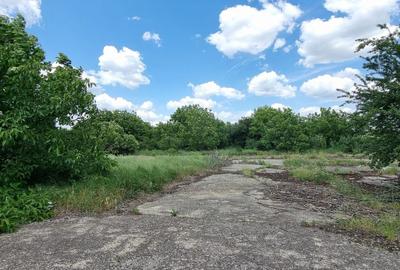 Teren agricol intravilan de 80000 mp, în Est - 3