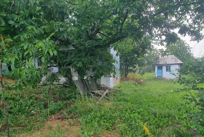 Teren de 3600 mp, în Căteasca - 2