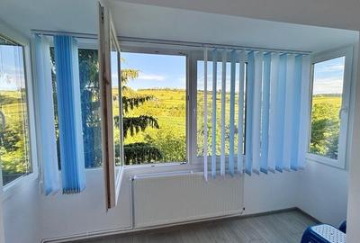 Apartament cu 3 camere decomandat în Dâmbu Pietros - 8
