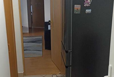 Apartament cu 2 camere nedecomandat în Săsar
