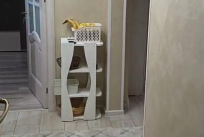Apartament cu 2 camere decomandat în Sud
