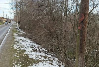 Teren de 1080 mp, în Mitreni - 2
