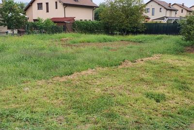 Teren intravilan de 878 mp, în Tăuții-Măgherăuș - 3