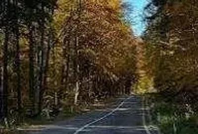 Teren în Viștea - 1