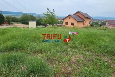 Teren intravilan de 1000 mp, în Micești