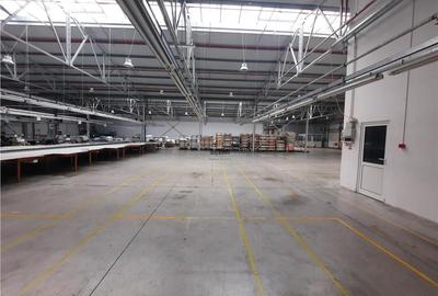Spațiu industrial, de 6,500 mp, în Periferie - 13