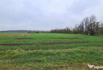 Teren de 3000 mp, în Brănești - 7