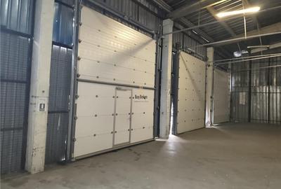 Spațiu industrial, de 360 mp, în Industrial Vest - 1