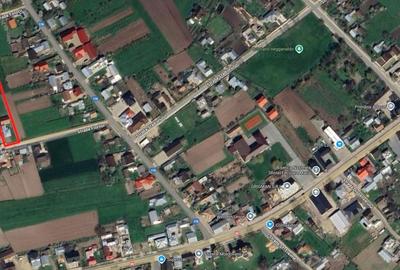 Casă cu 3 camere în Arbore