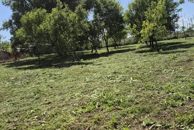 Teren de 1500 mp, în Sălcioara - 1
