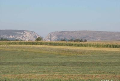 Teren de 1000 mp, în Central - 2