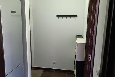 Apartament cu 2 camere semidecomandat, mobilat în Calea Severinului - 6