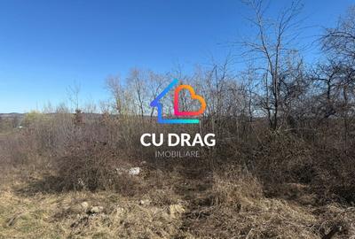 Teren Construcții intravilan de 1000 mp, în Sibiel - 4