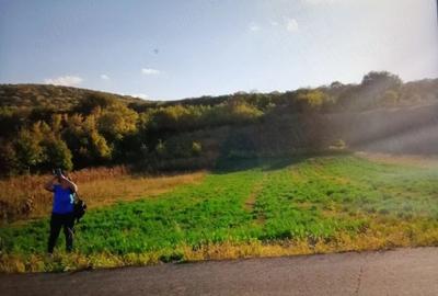 Teren de 7500 mp, în Ciucurova