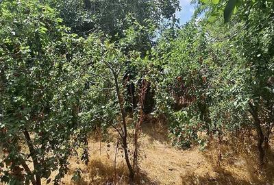 Casă cu Teren 1040 Mp în Floroaica