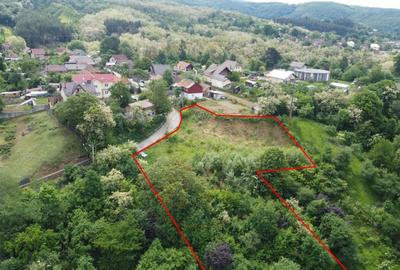 Teren Construcții intravilan de 3049 mp, în Curtea de Argeș - 10