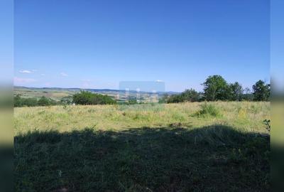 Teren Construcții intravilan de 72000 mp, în Topa Mică - 9