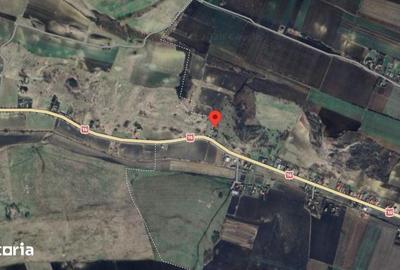 Teren de 8700 mp, în Adămuș - 4